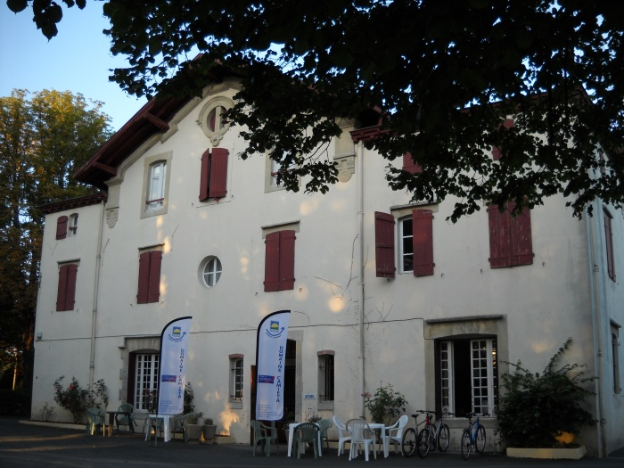 camieta 1